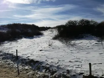 De Panne in de sneeuw (België)